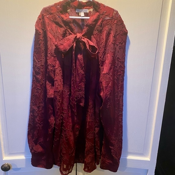 Nicola by EK Burgandy Sheer Chiffon Blouse with Bow at Neckline Size L - Picture 3 of 10